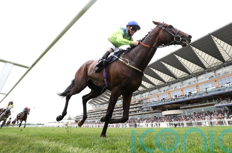 Subjectivist taking direct path to Ascot Gold Cup