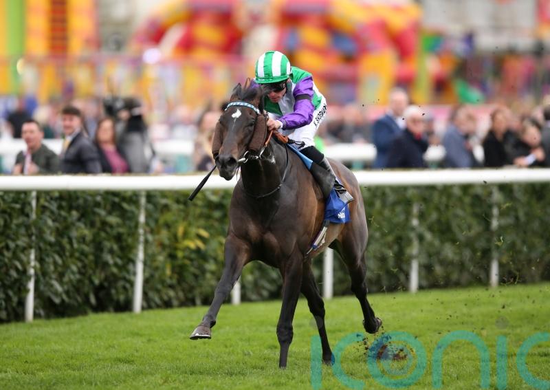 Fellowes and Vadream on a ‘shot to nothing’ on Finals Day