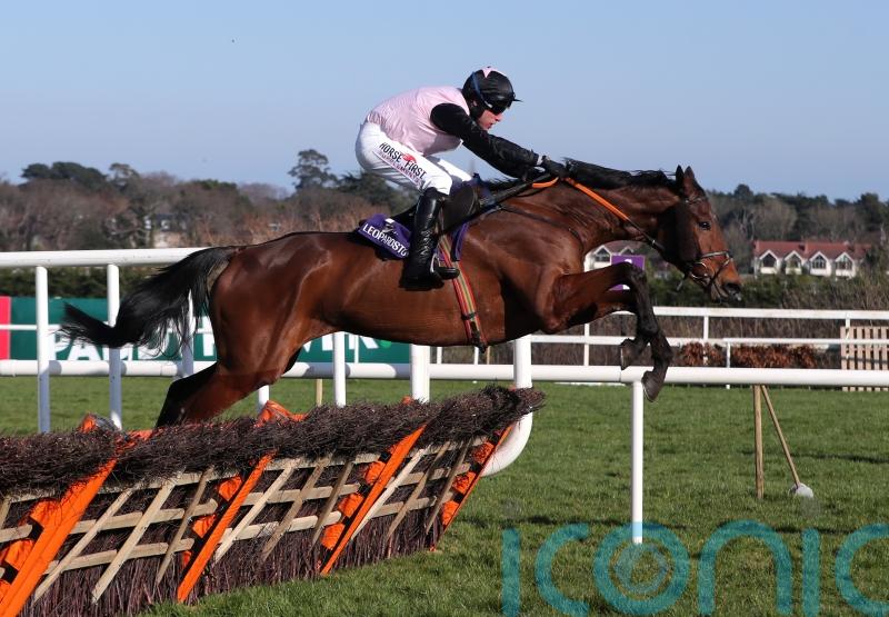French Dynamite hunting Grade Two honours for Morris