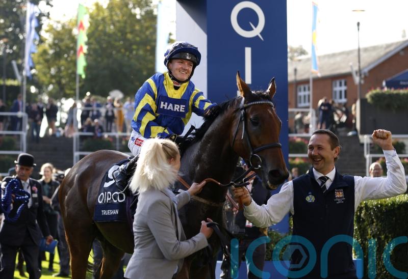 Trueshan returns in Further Flight Stakes