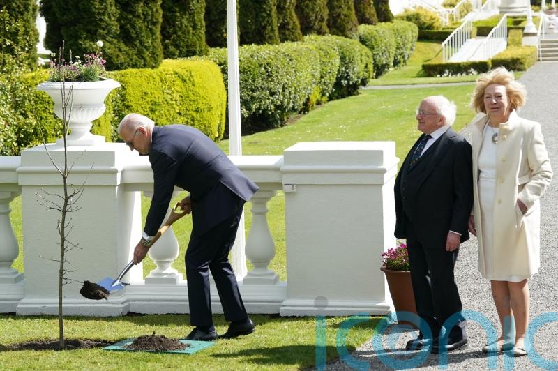 Biden expresses hope his great-grandchildren can climb tree he planted in Dublin
