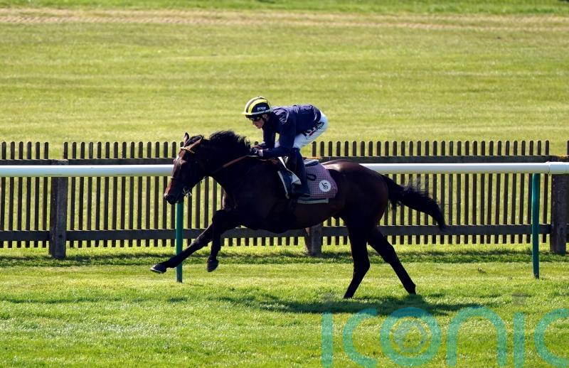 Guineas hope Sakheer sparkles in Newmarket spin