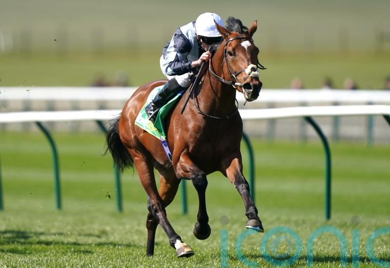 Stoute newcomer Passenger enjoys Newmarket stroll