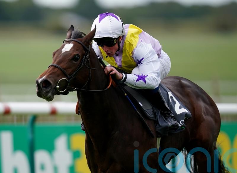 Lezoo and Juliet Sierra set to enhance Beckett’s Guineas bid