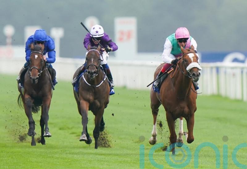 Chaldean none the worse for Newbury and on course for Newmarket