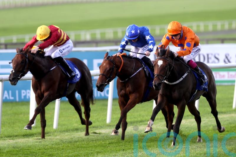 Gavin Cromwell sets sights on Nottingham with Sunset Shiraz
