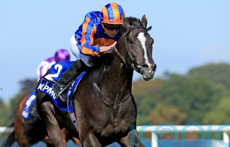 Auguste Rodin remains on course for Newmarket