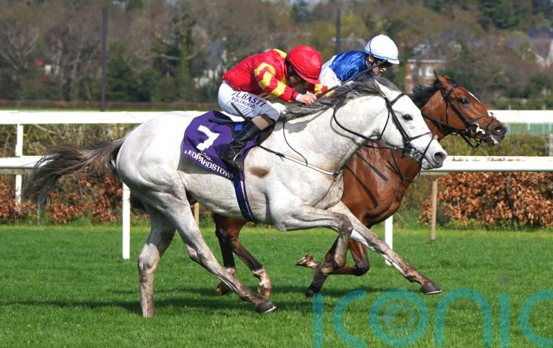 White Birch bidding for Derby Trial double