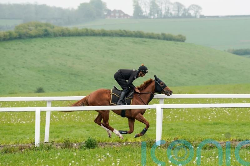 Balding wary of &lsquo;exceptional&rsquo; O&rsquo;Brien pair in 2000 Guineas