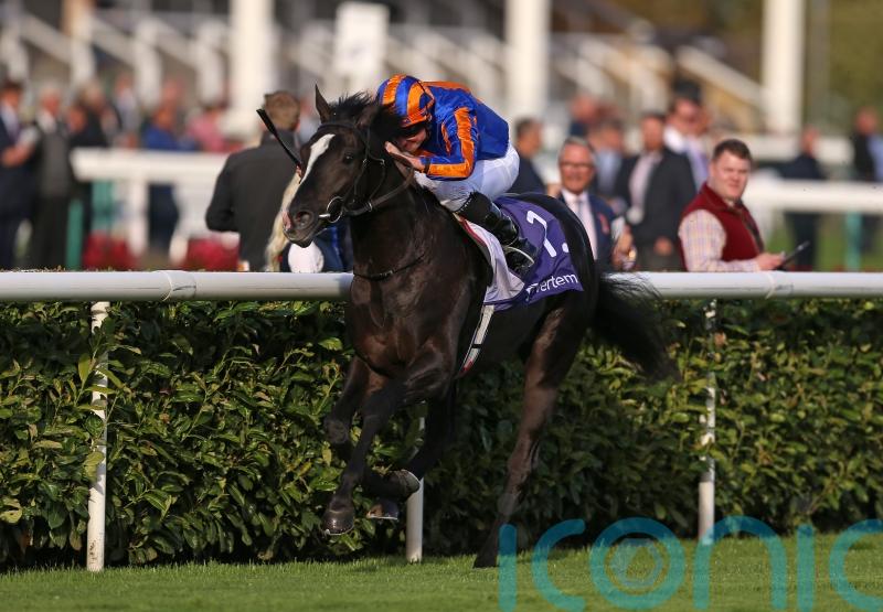 O’Brien dreaming of Triple Crown bid with Auguste Rodin