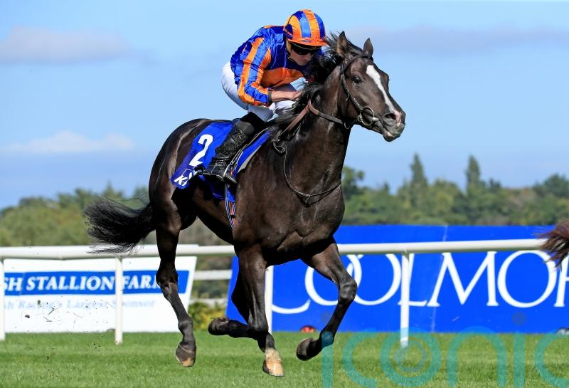 Auguste Rodin tops 14 seeking 2000 Guineas honours