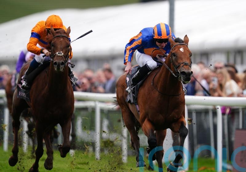 San Antonio holds of Alder in Dee Stakes battle of the O’Briens