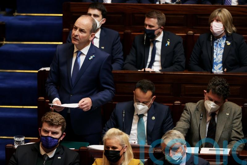 Martin’s Dail comments ‘highly inappropriate’, says businessman Cosgrave