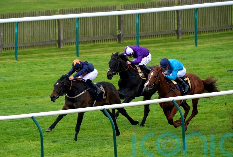 Tate eyeing Royal Ascot for juvenile pair