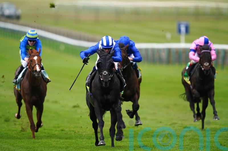 Mutasaabeq has eyes on Lockinge prize this weekend