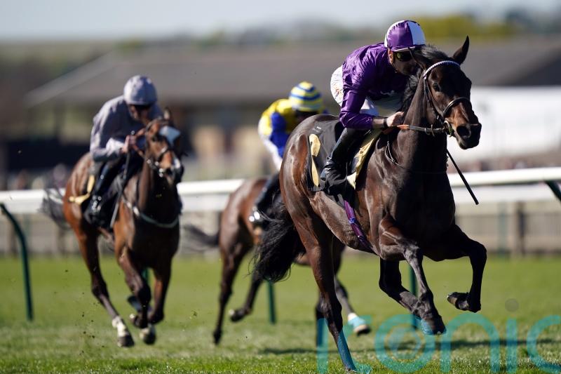 Persian Dreamer heads Amo’s Marygate charge