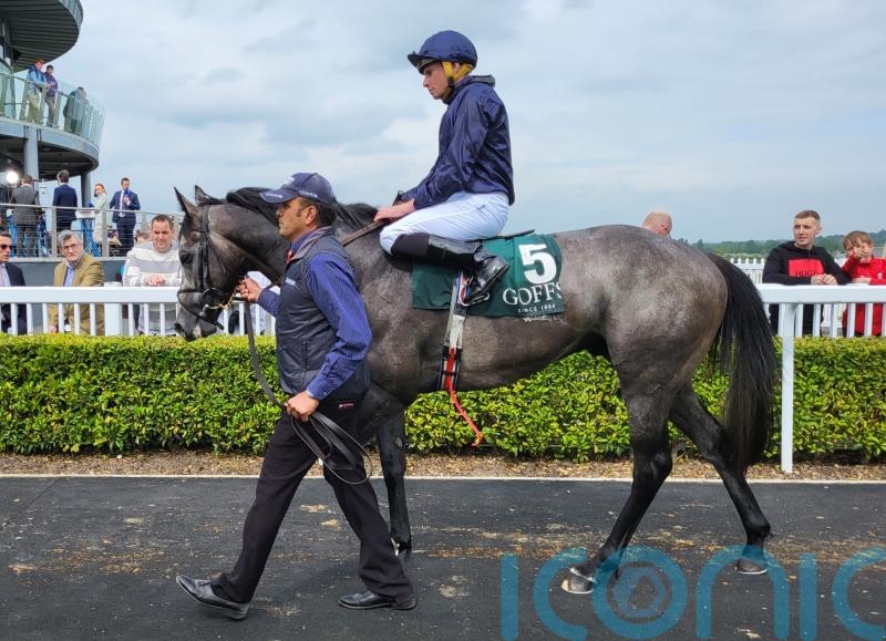 The Antarctic holds on for Lacken Stakes glory