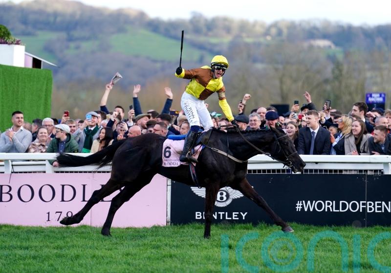 Galopin Des Champs lauded as top jumps performer