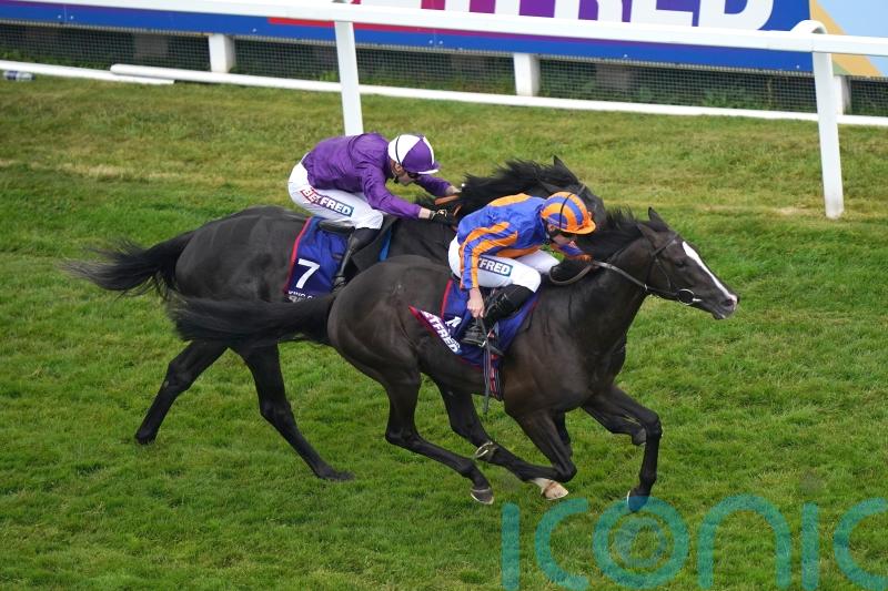 Tabor anticipating Derby double bid for Auguste Rodin