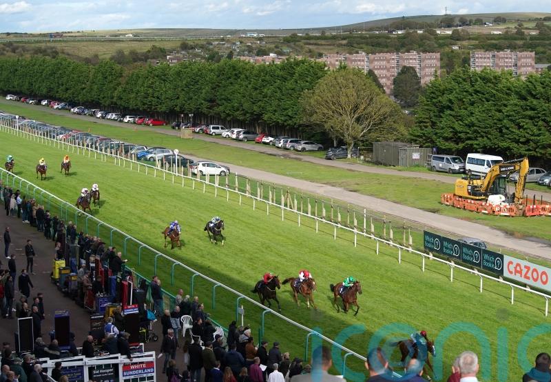 ‘Systems and administrative error’ sees four runners taken out of Brighton race