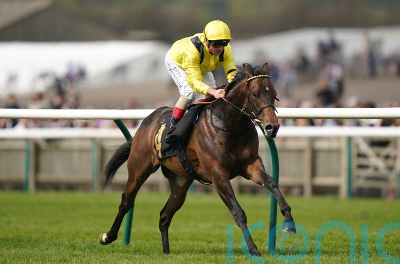 Tajalla seeking to take next step up the sprinting ladder