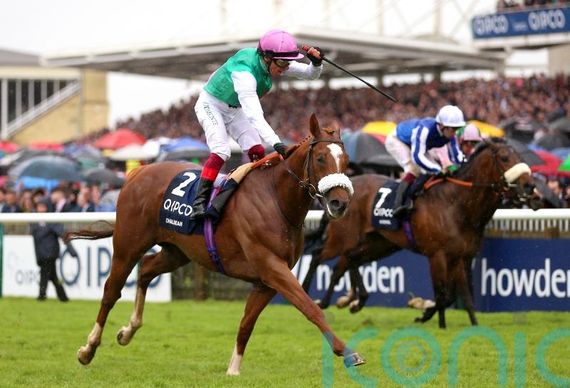 Chaldean all set for Royal Ascot clash of the Classic winners
