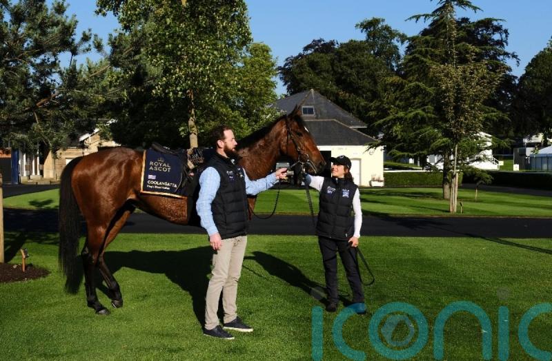 Coolangatta leads international King’s Stand charge