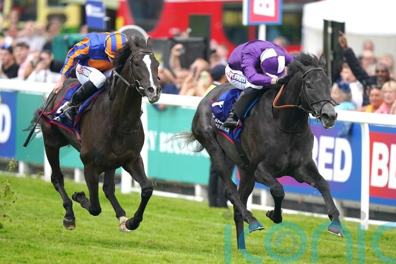 Amo looking to King Of Steel for Ascot breakthrough