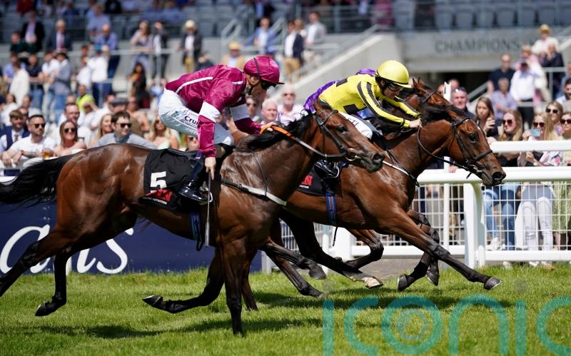 Coventry runner Givemethebeatboys sells for £1.1million