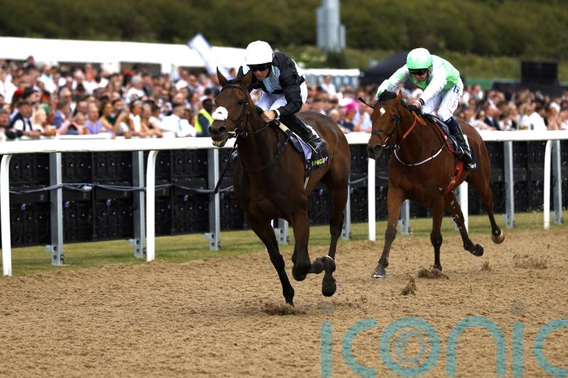 Palmer planning dual assault on Northumberland Plate
