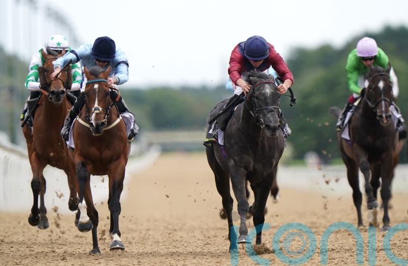 Chipchase winner Tiber Flow testing the waters at five furlongs