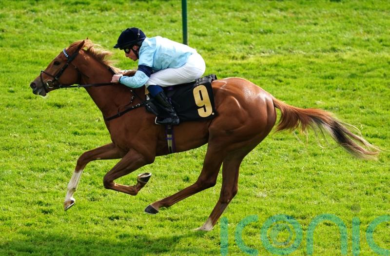 Soprano tuned up for big Newmarket performance