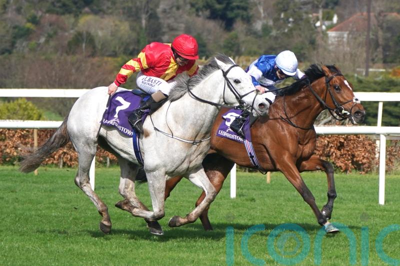 White Birch has earned rest after taking in Epsom and Curragh Classics