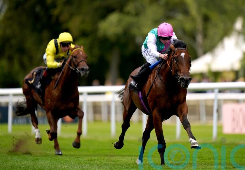 Nostrum makes serious impression on return to action