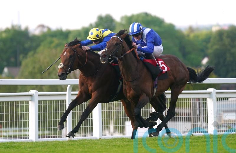 Hukum on course for King George outing