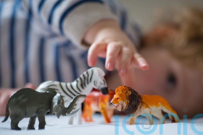 Judge expresses concern over Ireland’s provision for children in state care