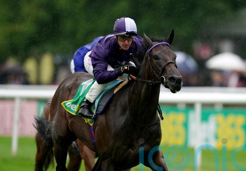 Ffrench Davis planning Group One goal for Persian Dreamer
