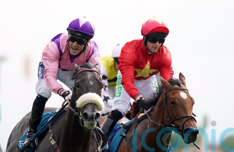 No rush for Dods to map out Azure Blue aim