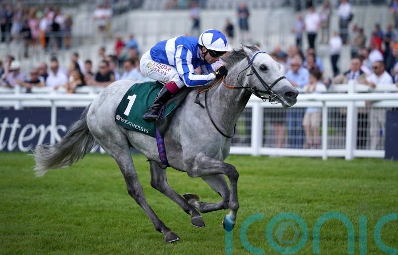 Art Power to make speedy reappearance in Sapphire heat