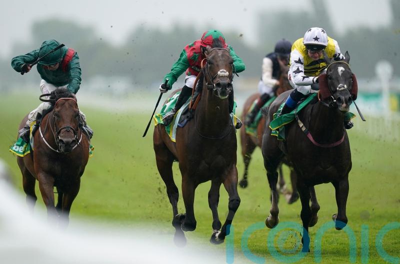 Commanche Falls pounces late to secure Hackwood prize