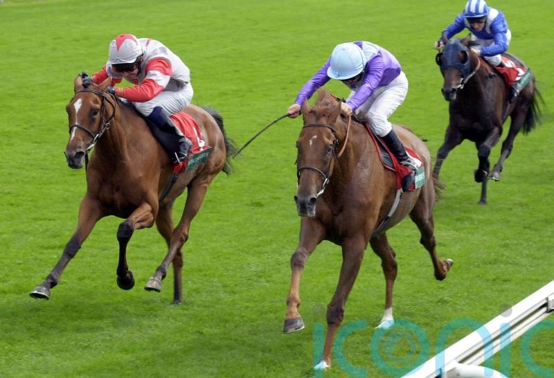 Goodwood specialist Quinn recalls Persian Punch’s glory days