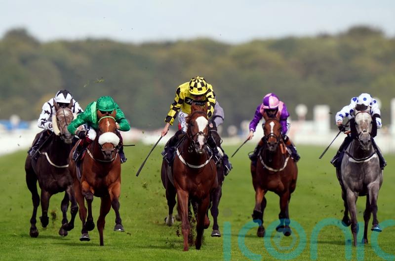 Manaccan misses out on Nunthorpe run
