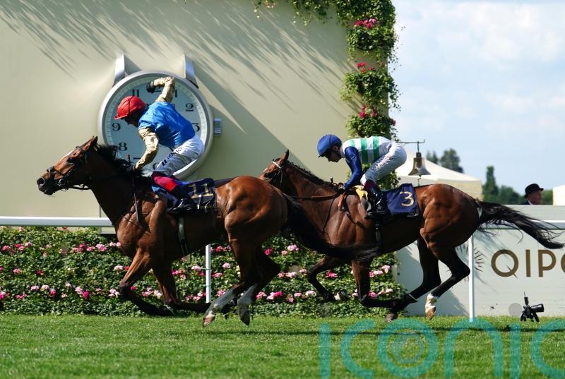 Conditions a key factor in Courage’s Goodwood Cup bid