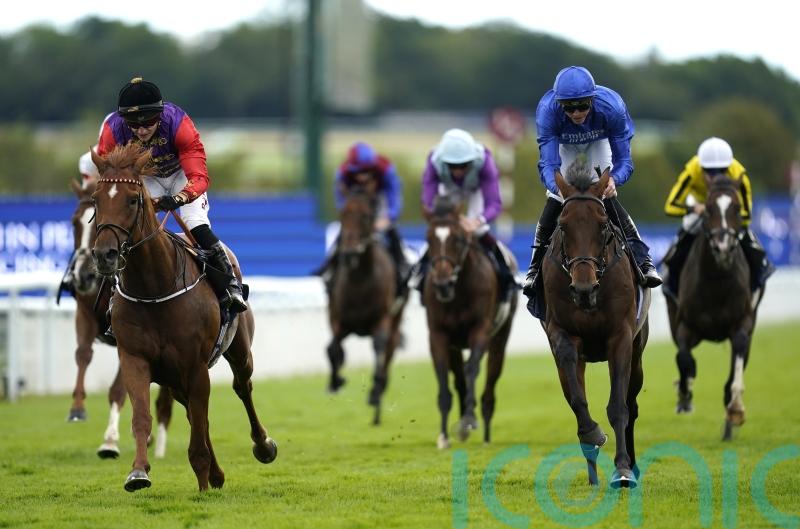 Desert Hero raises hopes of Classic glory for the King and Queen