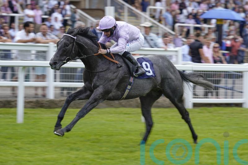 Hills expecting Orazio to make his mark in Stewards’ Cup
