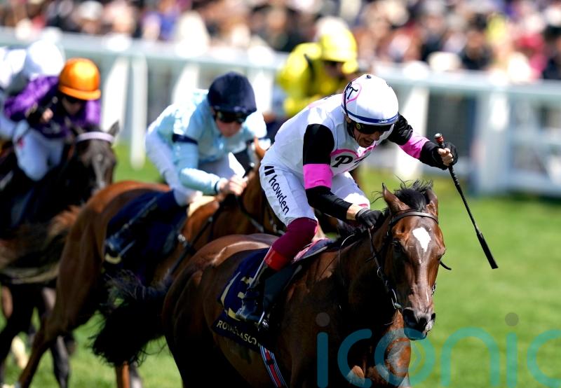 O’Brien backing Porta Fortuna to make Phoenix impact