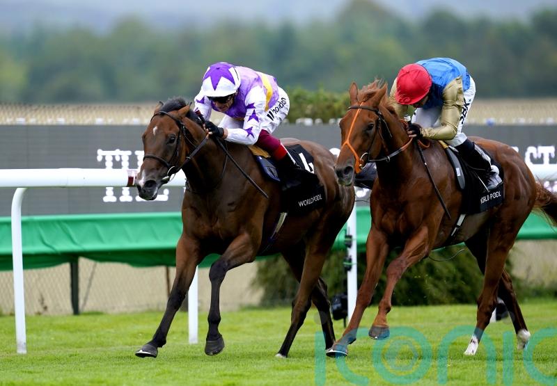 Beckett has Kinross and Bluestocking primed for York action