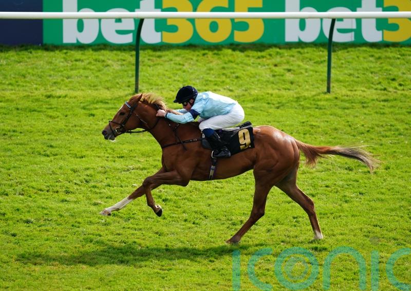Soprano tries seven furlongs again in Sweet Solera Stakes