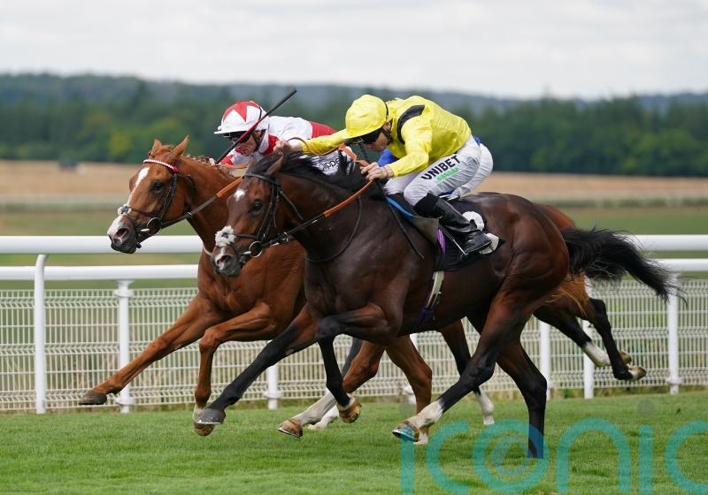 Fellowes considering international targets for Marbaan
