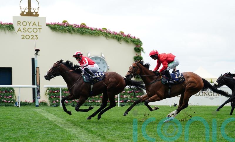 Ascot hero Bradsell ready for Nunthorpe challenge